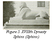 Text Box:  
Figure 5. XVIIIth Dynasty Sphinx (Sphinx)
