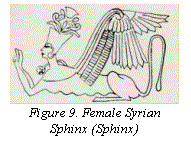 Text Box:  
Figure 9. Female Syrian Sphinx (Sphinx)
