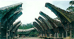 Toraja Traditional House or Tongkonan