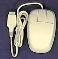 mouse