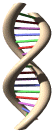 MOLECULAR
BIOLOGY LINK