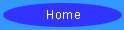 home button