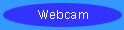 webcam button