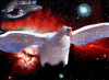 bird-of-prey.gif (121598 bytes)