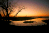 dawn-forsythe_nwr.gif (126214 bytes)