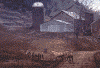 horses-hunter-mt.gif (88326 bytes)