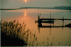 montauk-pier.gif (158719 bytes)