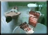 MOVE-7.GIF (7298 bytes)