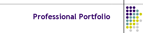 Professional Portfolio