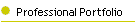 Professional Portfolio