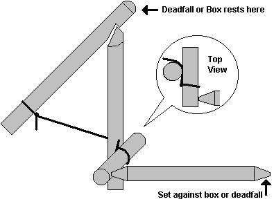 paiute deadfall