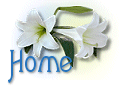 Back to my home page
