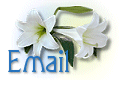 Send me an E-mail!