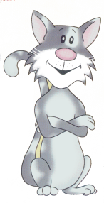 Cat winking