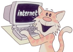Cat on PC