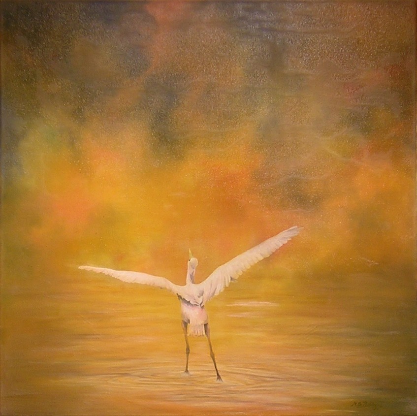70 cm x 70 cm