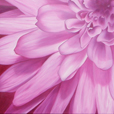 Flor N 2