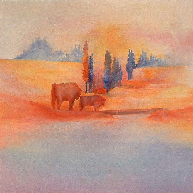 50 cm x 50 cm