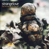 Time For The Rest Of Your Life - Strangelove