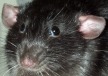 i love it when you feed me. more please!