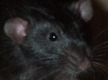 haven't you got something delicious to feed me?