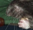 milo's nose