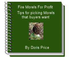 fire morels for profit