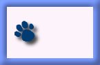 Blank button