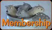 JOIN NOW!!!