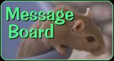 Message Board
