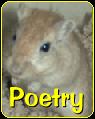 Gerbil Poetry