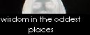 Wisdom in the Oddest Places