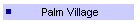 Palm Village