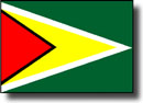 Guyanese Flag