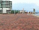 Looking East on the New Pier