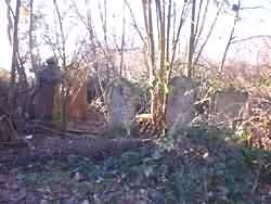 gravesatstmaryschurch2001