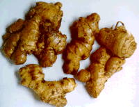ginger