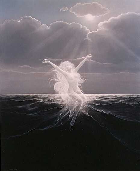 Sea of Life 