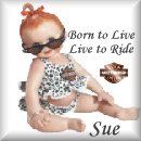 Harley Baby Doll