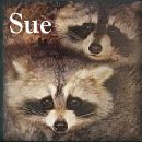 Racoons
