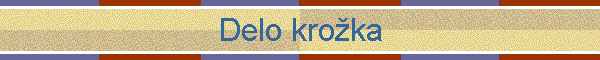 Delo kroka