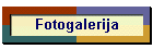 Fotogalerija