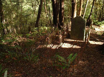 Lyell cemetary (19682 bytes)