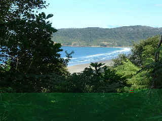 Catlins bay (12083 bytes)
