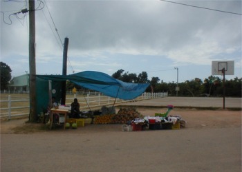 Fruit stand