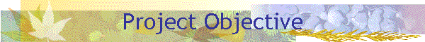 Project Objective