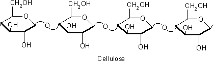 Cellulosa.
