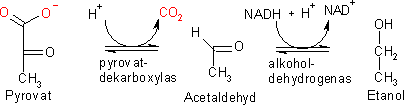 Etanoljäsning.