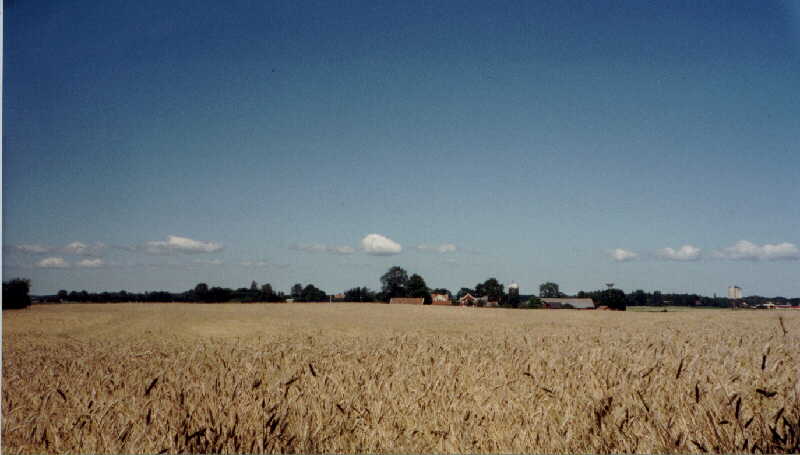 field