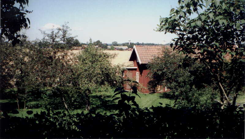 yard